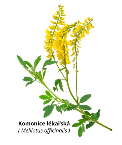 Komonice lékařská